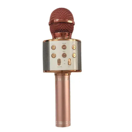 Microphone speaker/اسپیکر میکروفن مدل WS-858 رزگلد