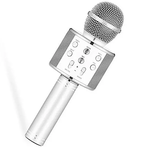 Microphone speaker/اسپیکر میکروفن مدل WS-858 طوسی